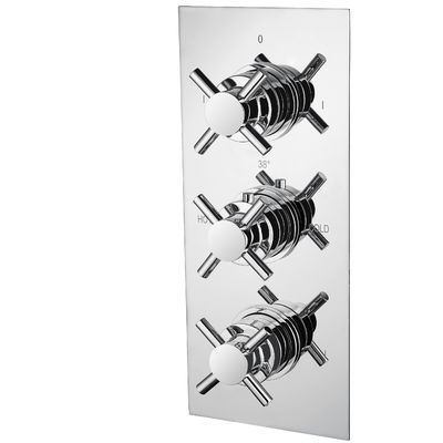 Brass Concealed Shower Mixer With Ceramic Valve Type And Long Lasting T8566